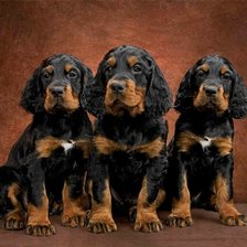 Cross stitch pattern: #2295131