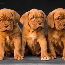 Cross stitch pattern: #2295135