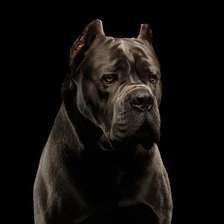 Cross stitch pattern: #2295140