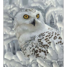 Cross stitch pattern: #2295552