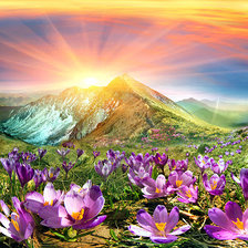 Cross stitch pattern: #2300517