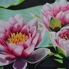 Cross stitch pattern: #2300913