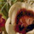 Preview of cross stitch pattern: #2304295