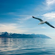 Cross stitch pattern: #2307589