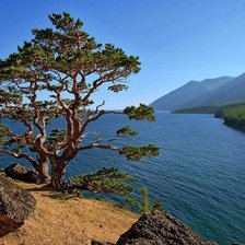 Cross stitch pattern: #2307590