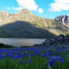 Cross stitch pattern: #2307598