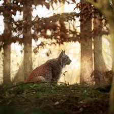 Cross stitch pattern: #2307600