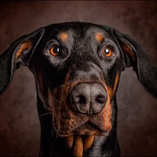 Cross stitch pattern: #2307613