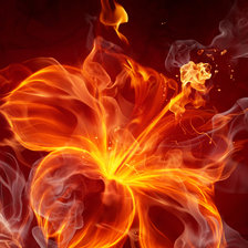 Cross stitch pattern: #2307647