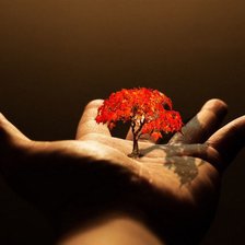 Cross stitch pattern: #2309372