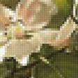 Preview of cross stitch pattern: #2309526