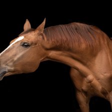 Cross stitch pattern: #2310647