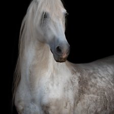 Cross stitch pattern: #2310654