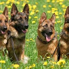 Cross stitch pattern: #2312835