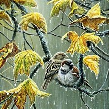 Cross stitch pattern: #2313291