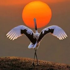 Cross stitch pattern: #2313392