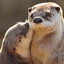 Cross stitch pattern: #2314034