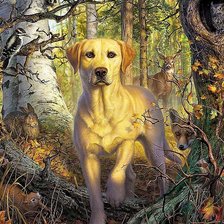 Cross stitch pattern: #2315339