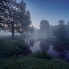 Cross stitch pattern: #2317437