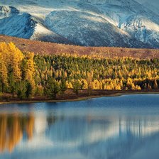 Cross stitch pattern: #2317444