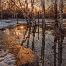 Cross stitch pattern: #2318891