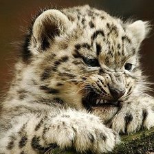 Cross stitch pattern: #2319002