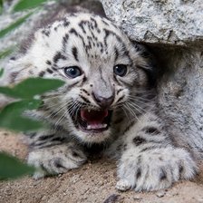 Cross stitch pattern: #2319007