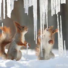 Cross stitch pattern: #2319015