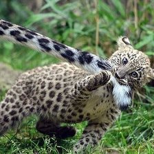 Cross stitch pattern: #2319017