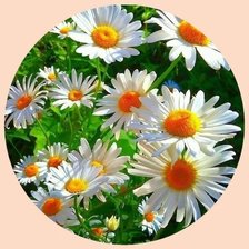 Cross stitch pattern: #2320747