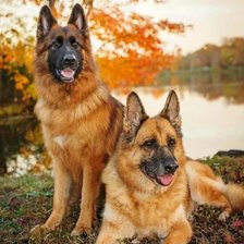 Cross stitch pattern: #2322755