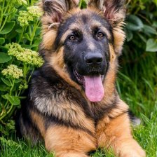 Cross stitch pattern: #2322756