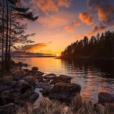 Cross stitch pattern: #2327160