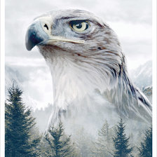 Cross stitch pattern: #2327247