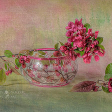 Cross stitch pattern: #2331433