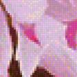 Preview of cross stitch pattern: #2335791