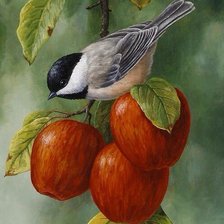 Cross stitch pattern: #2340998