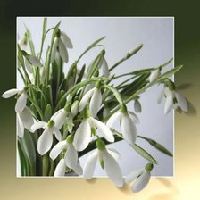 Cross stitch pattern: #2341586