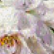 Preview of cross stitch pattern: #2341710