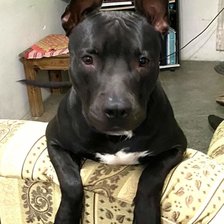 Cross stitch pattern: #2350754