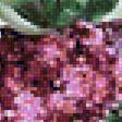 Preview of cross stitch pattern: #2353867