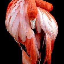 Cross stitch pattern: #2355980