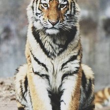 Cross stitch pattern: #2356755