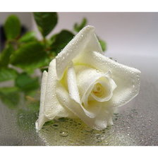 Cross stitch pattern: #2357232