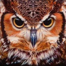 Cross stitch pattern: #2357658