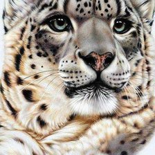 Cross stitch pattern: #2357851