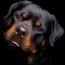 Cross stitch pattern: #2357862