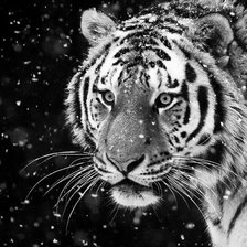 Cross stitch pattern: #2357885