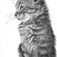 Cross stitch pattern: #2357965