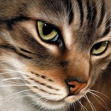 Cross stitch pattern: #2358084